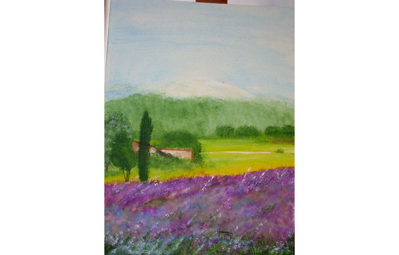 Provenza, 30x40 acq. su cartoncino