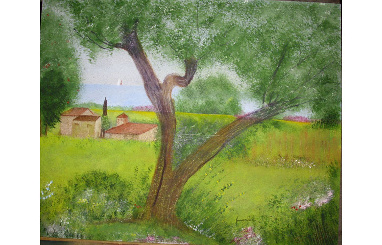 Ulivo secolare, 40x50 acq, su legno