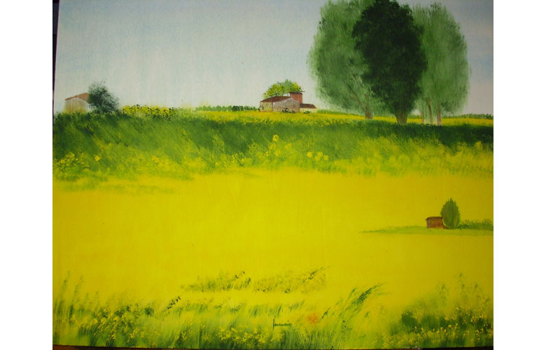 Campi di colza, 30x40 acq. su cartone