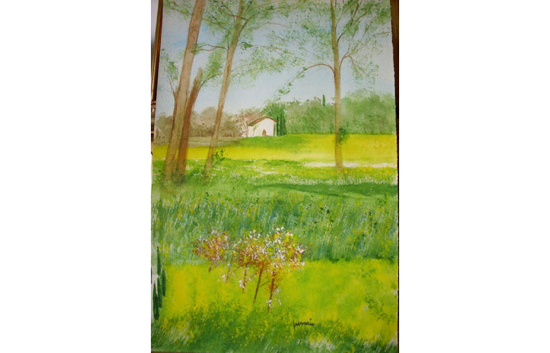 Casina di Caccia, 30x40 acq. su carta